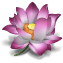 lotus